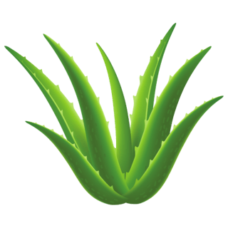 Aloe Vera Gel